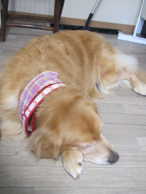 ファイル 2636-5.jpg