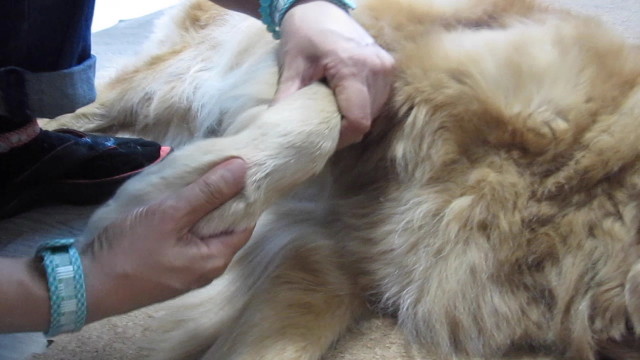 ファイル 2637-1.jpg