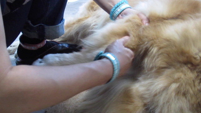 ファイル 2637-2.jpg