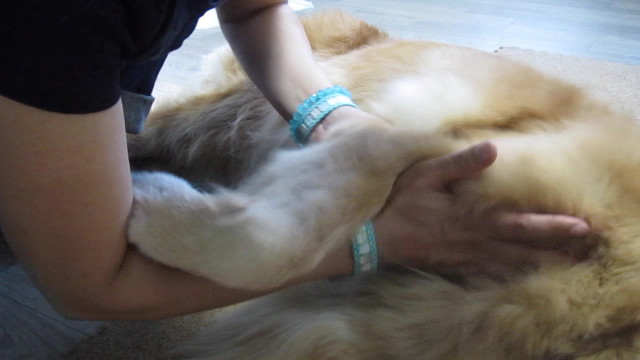 ファイル 2637-3.jpg