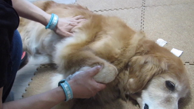 ファイル 2637-5.jpg