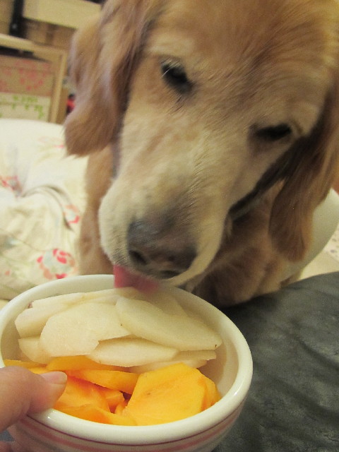 ファイル 2638-1.jpg