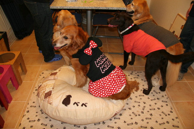 ファイル 264-4.jpg