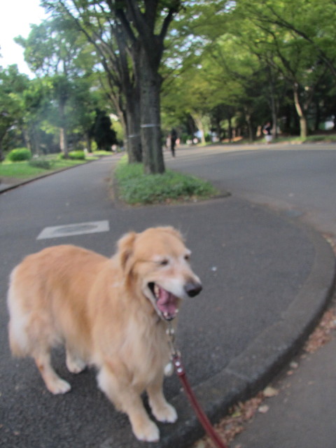 ファイル 2641-5.jpg