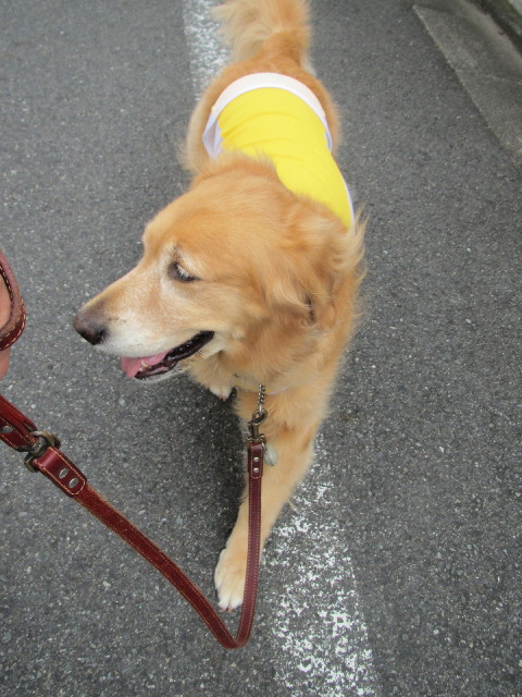 ファイル 2642-1.jpg