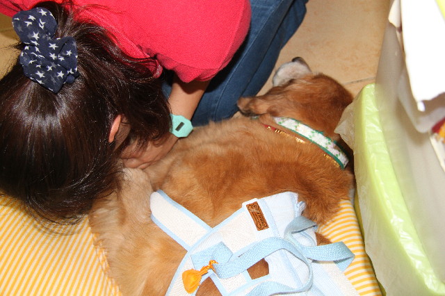 ファイル 2642-5.jpg