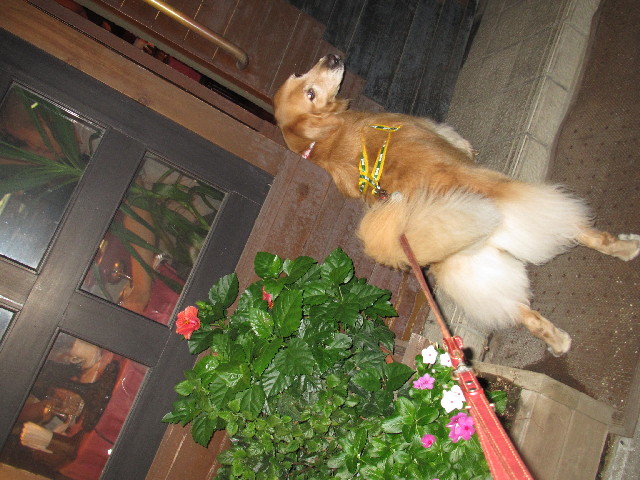 ファイル 2644-5.jpg