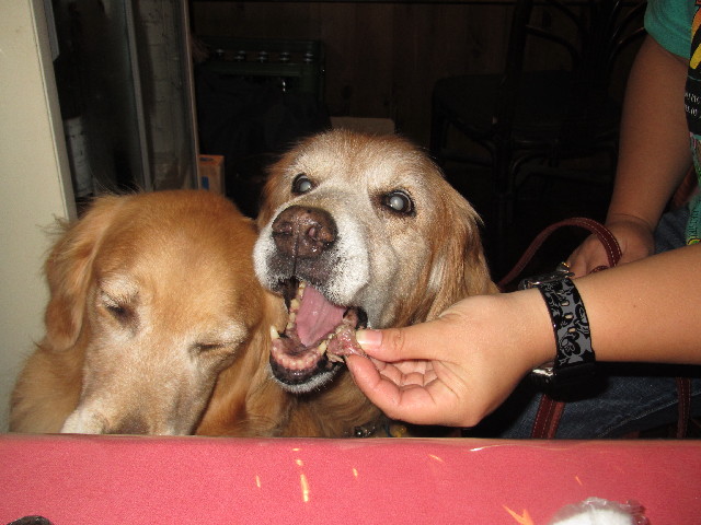 ファイル 2645-2.jpg