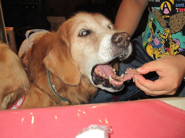 ファイル 2645-3.jpg