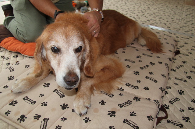 ファイル 2646-2.jpg