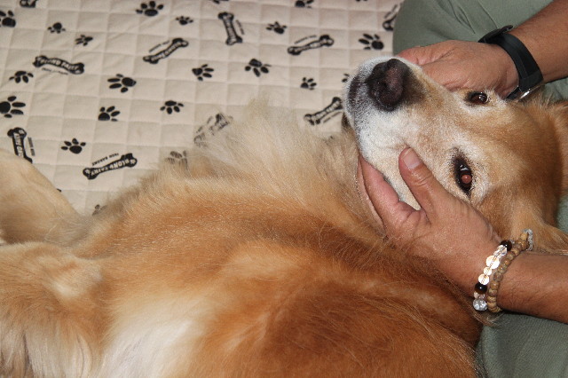 ファイル 2646-3.jpg