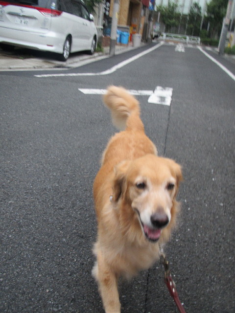 ファイル 2647-4.jpg