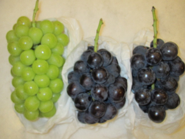 ファイル 2647-5.jpg