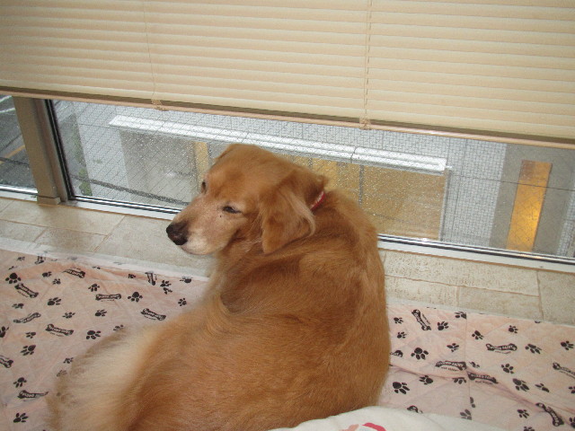 ファイル 2648-3.jpg