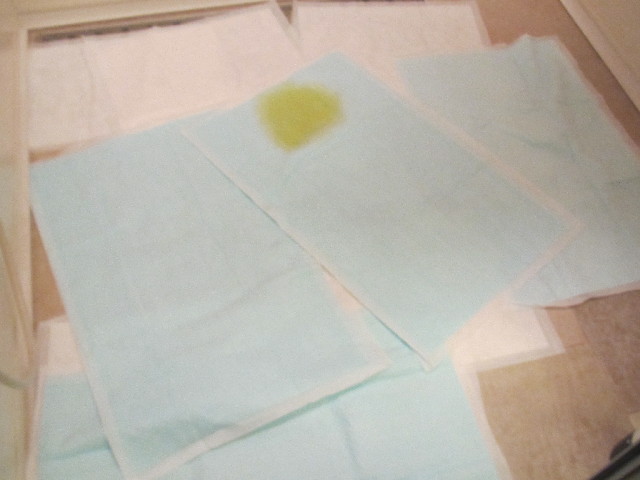 ファイル 2648-4.jpg