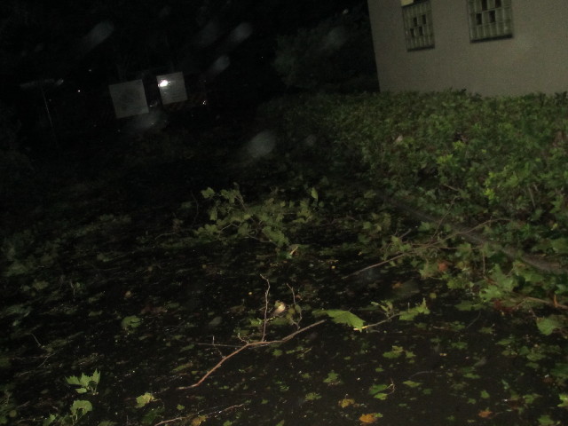 ファイル 2648-5.jpg