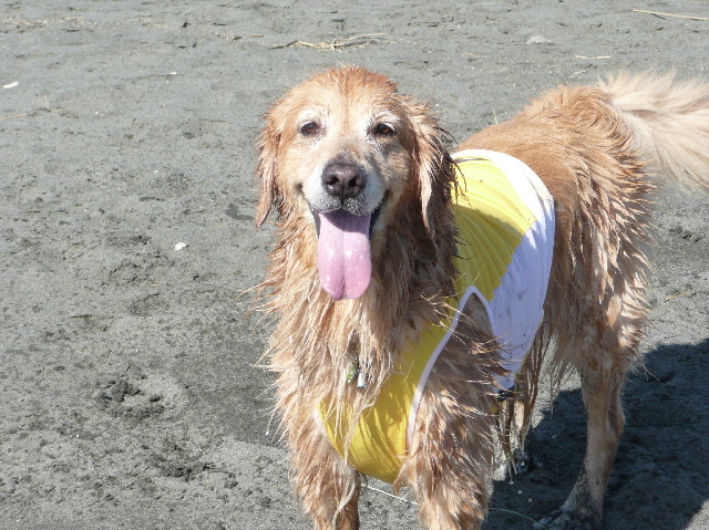 ファイル 2650-4.jpg