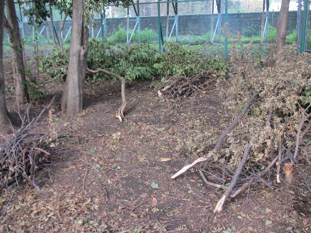 ファイル 2652-4.jpg