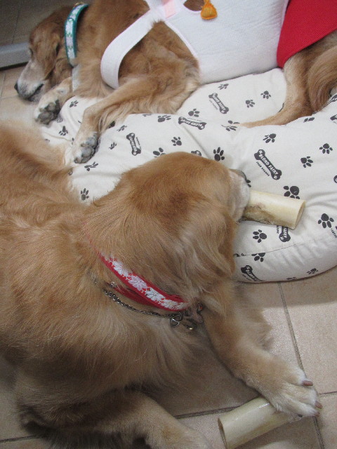 ファイル 2655-4.jpg