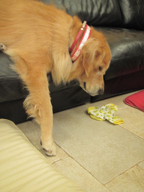 ファイル 2655-5.jpg