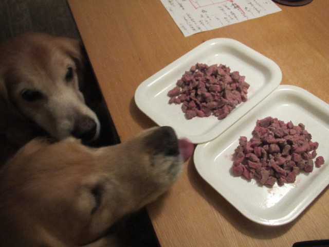 ファイル 2656-2.jpg