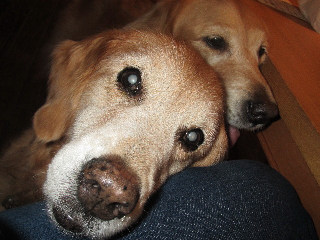 ファイル 2656-4.jpg