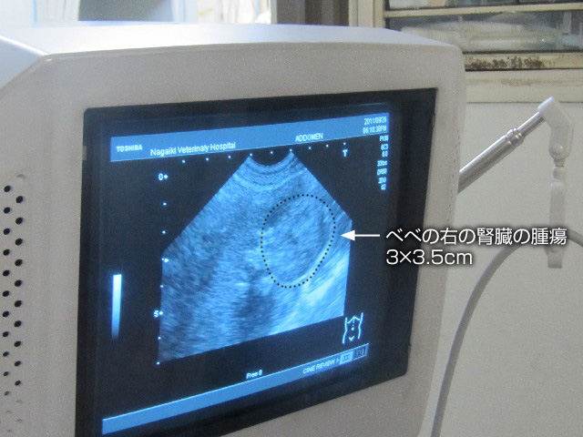 ファイル 2658-3.jpg