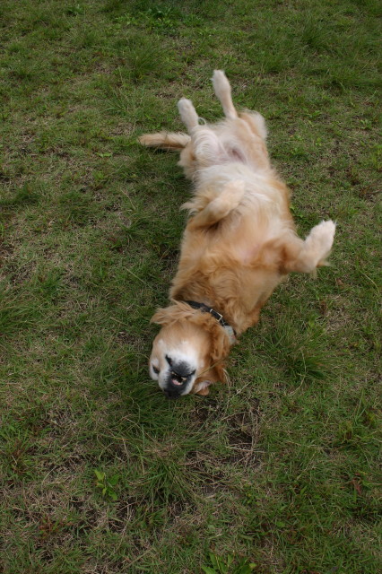 ファイル 266-2.jpg