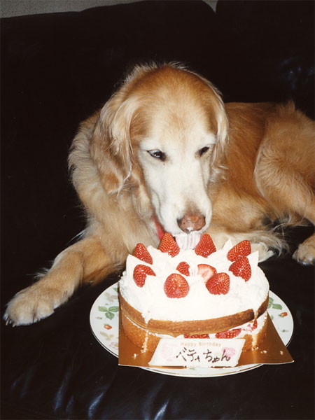 ファイル 266-3.jpg