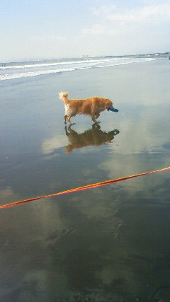 ファイル 2662-4.jpg