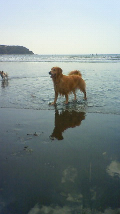 ファイル 2662-5.jpg