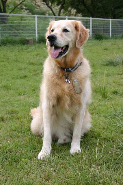 ファイル 2663-3.jpg