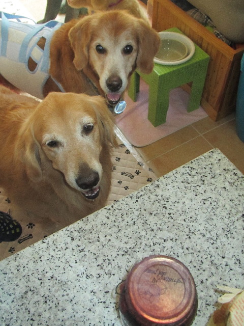 ファイル 2664-4.jpg