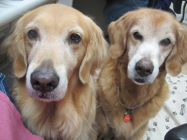 ファイル 2667-4.jpg