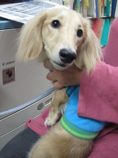 ファイル 2668-3.jpg