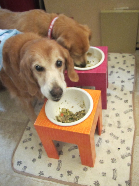 ファイル 2669-3.jpg