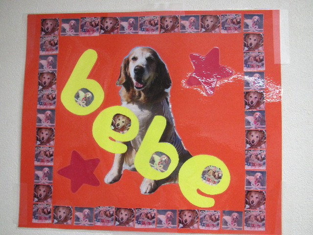 ファイル 2669-5.jpg