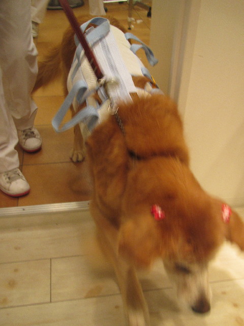 ファイル 2671-3.jpg