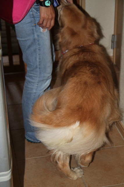 ファイル 2672-5.jpg