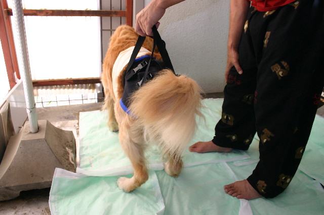 ファイル 2674-4.jpg