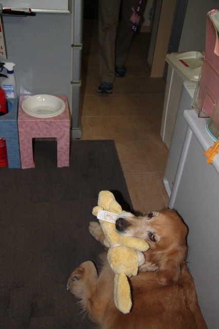 ファイル 2675-4.jpg