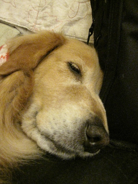 ファイル 2675-5.jpg