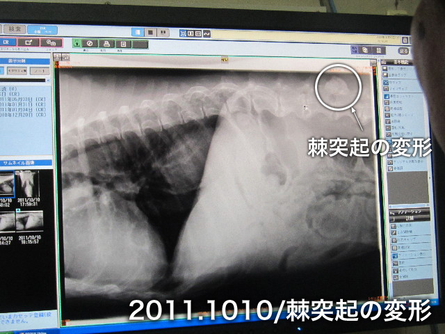 ファイル 2677-4.jpg