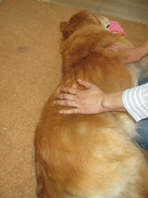 ファイル 2679-1.jpg