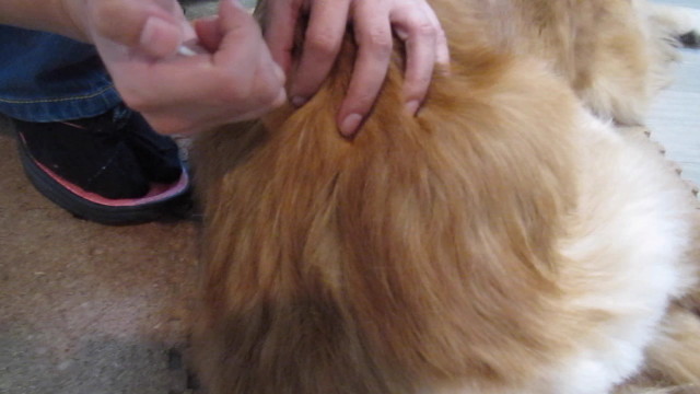 ファイル 2679-5.jpg