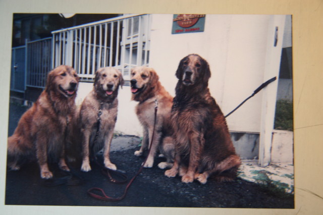 ファイル 268-1.jpg