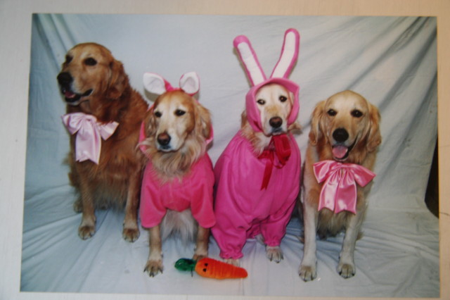 ファイル 268-2.jpg