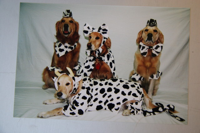 ファイル 268-3.jpg