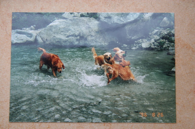 ファイル 268-4.jpg