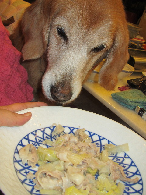 ファイル 2681-1.jpg